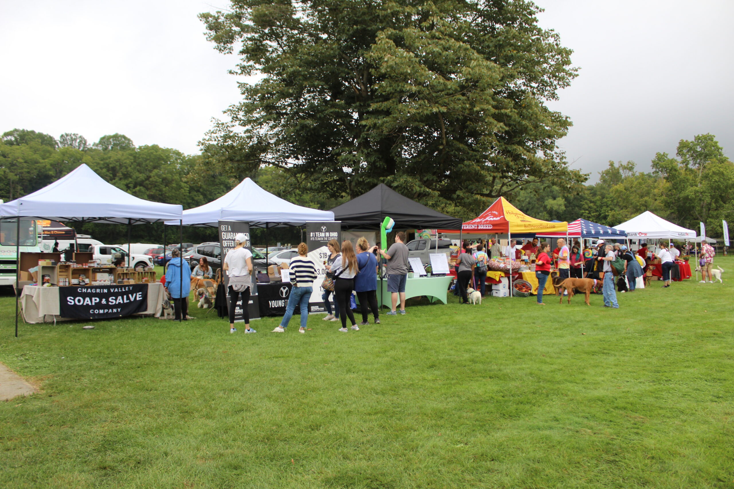 Event Sponsorship - Rescue Village