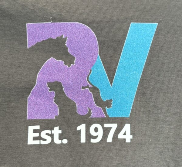 50 Gray Short Sleeve - Image 4